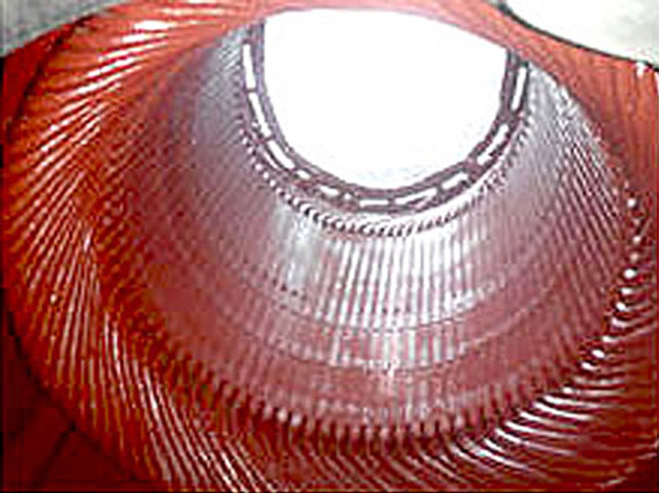 Stator Winding After Service