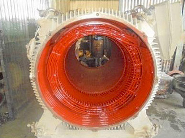 Stator Winding After Service